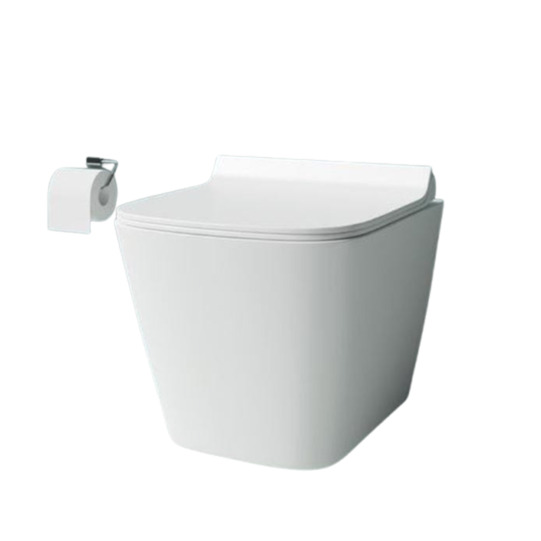 Japanese Style Washlet